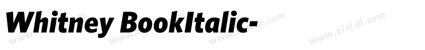 Whitney BookItalic字体转换